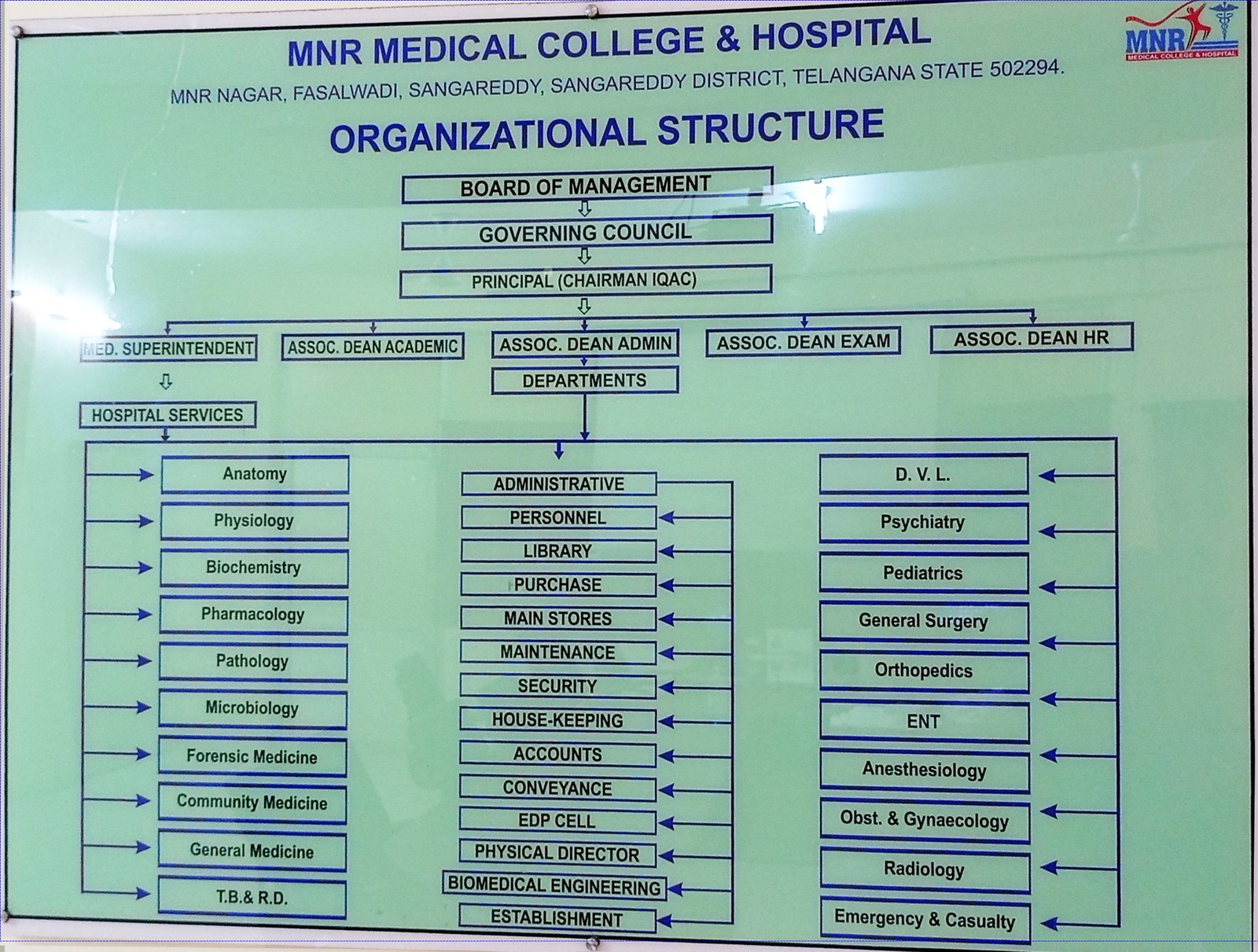 Organogram