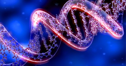 Genetics